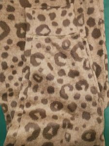 Leopard Print Outfit