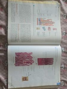 Principles of Anatomy &amp; Physiology Vol 2