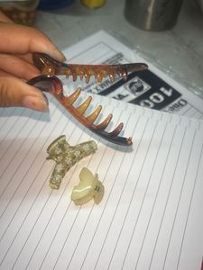 Chic Claw Clip Set