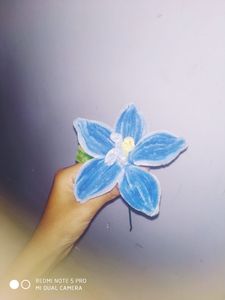 Velvet Flower