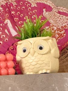 Cute Owl Planter Pots Set of 2
