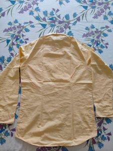 Men Yellow Shirt
