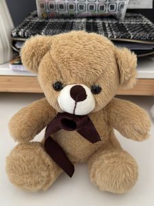 Soft Teddy Bear with Brown Ribbon