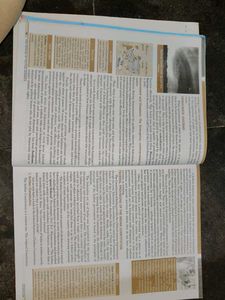 Class 10 Political Science Book Term I &amp; II