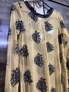 Elegant Sheer Embroidered Kurti