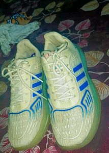 Adidas Inspired Radium Running Shoes