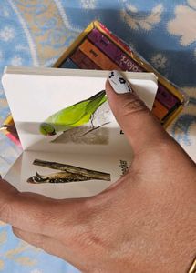 Kids First Book Set