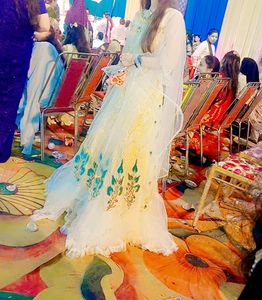 Elegant Embroidered Dress