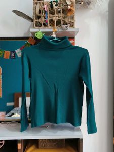 Teal Turtleneck Long Sleeve Top