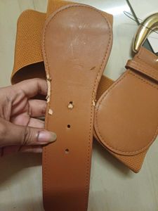 Elastic Belt with Gold Buckle