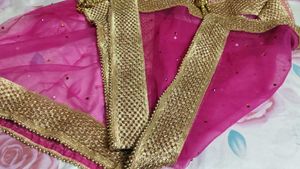 Pink Embellished Dupatta
