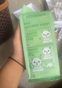 QianHui Mini Portable Wet Wipes 8 Packs