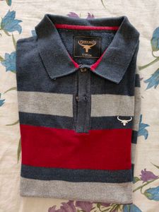 Men Striped Polo T-Shirt