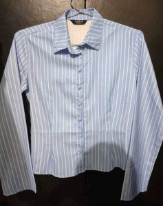 Blue Striped Button-Up Fitted Shirt