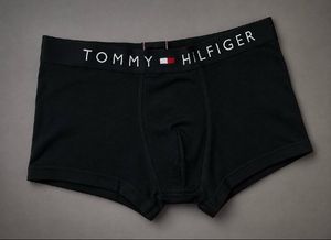 Tommy Hilfiger briefs
