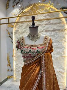Elegant Brown Embellished Saree