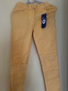 Stylish Yellow Chinos