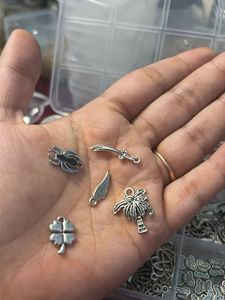 Assorted Charms (full box)