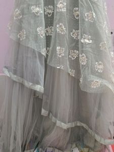 Party Wear Beautiful Gown