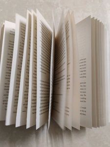 The Dictionary of Lost Words by Pip Williams