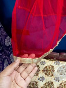Red Anarkali Gown with Gold Embellishments
