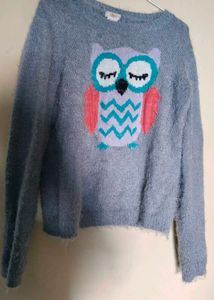 Sweatshirt Or Loose T Shirt