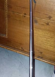 Extendable Selfie Stick with Shutter Button