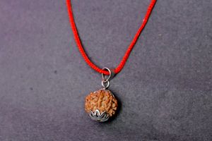 Sath mukhi Rudraksh