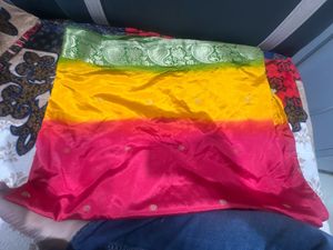 Vibrant Ombre Saree with Embroidery