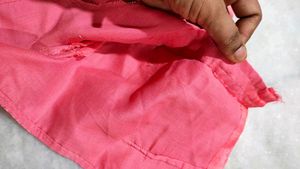 Pink Embroidered Silk Blouse