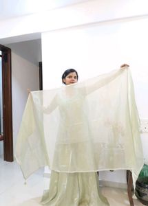 designer Pastel Green Kurta Set