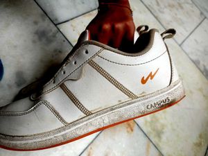 campus Shoes