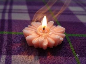 set of 2 Daisy Flower Scented Candles with free su