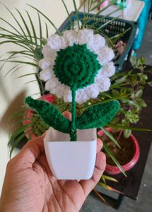 Crochet Daisy Flower pot