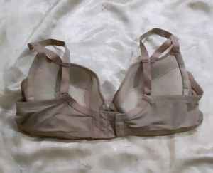 Lace Padded Bra
