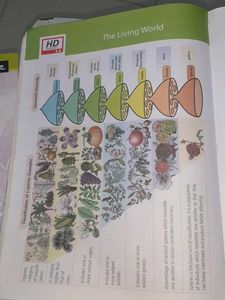 NCERT Objective Biology Class 11 &amp; 12