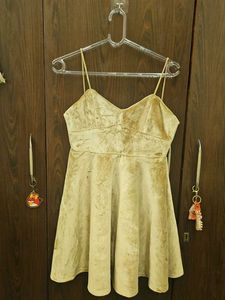 Golden Velvet Mini Dress