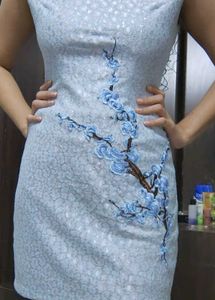 Light Blue Floral Embroidered Dress