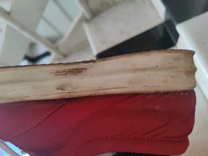 Red Casual Shoes