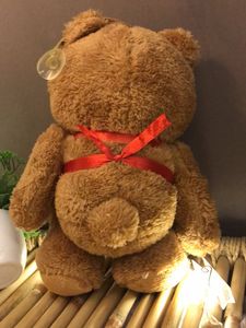 Cute Teddy Bear with 'Love' Shirt
