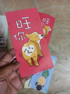 17 pcs Money Envelopes (Imported)