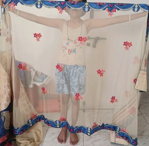 Beautiful Saree/ Ghagara