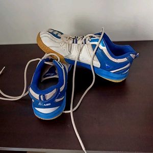 Vintage Proasee Badminton Shoes