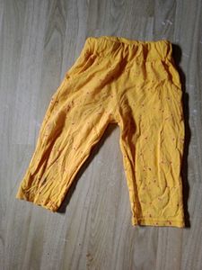 5 Item, Top Pant,Denim Pant,Long Cotton  Pant,Fro