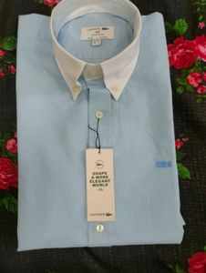 XL -NEW Lacoste CONTRAST COLLOR Shirt