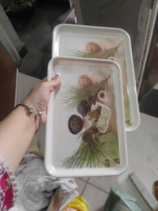 Set of 2 Decorative Trays