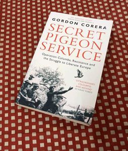 Secret Pigeon Service
