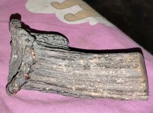Antique 100+ Years Old Raindeer Horn Piece.