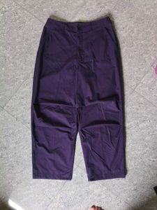 Uniqlo Baggy Parachute Pants