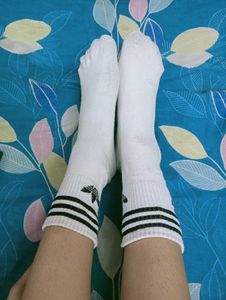 pack of 3 ( adidas + jockey + ss ) socks